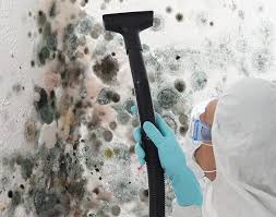 Reliable Fairfax, VA Mold Removal & Remediation Solutions